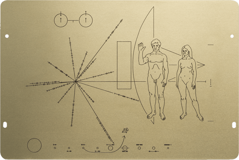 pioneerplaque800